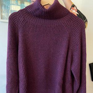 Wilfred Free Turtleneck Sweater